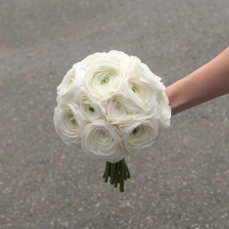 Ranunculus