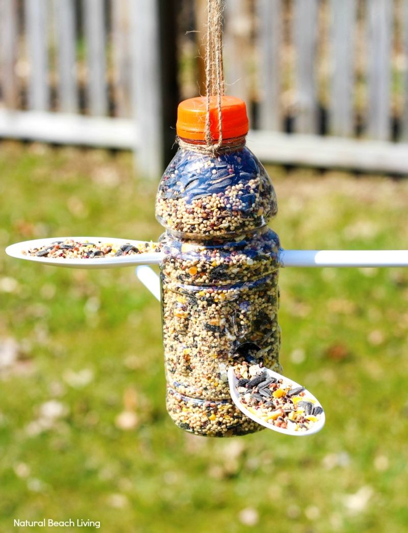 Recycled Bottle Bird Feeders