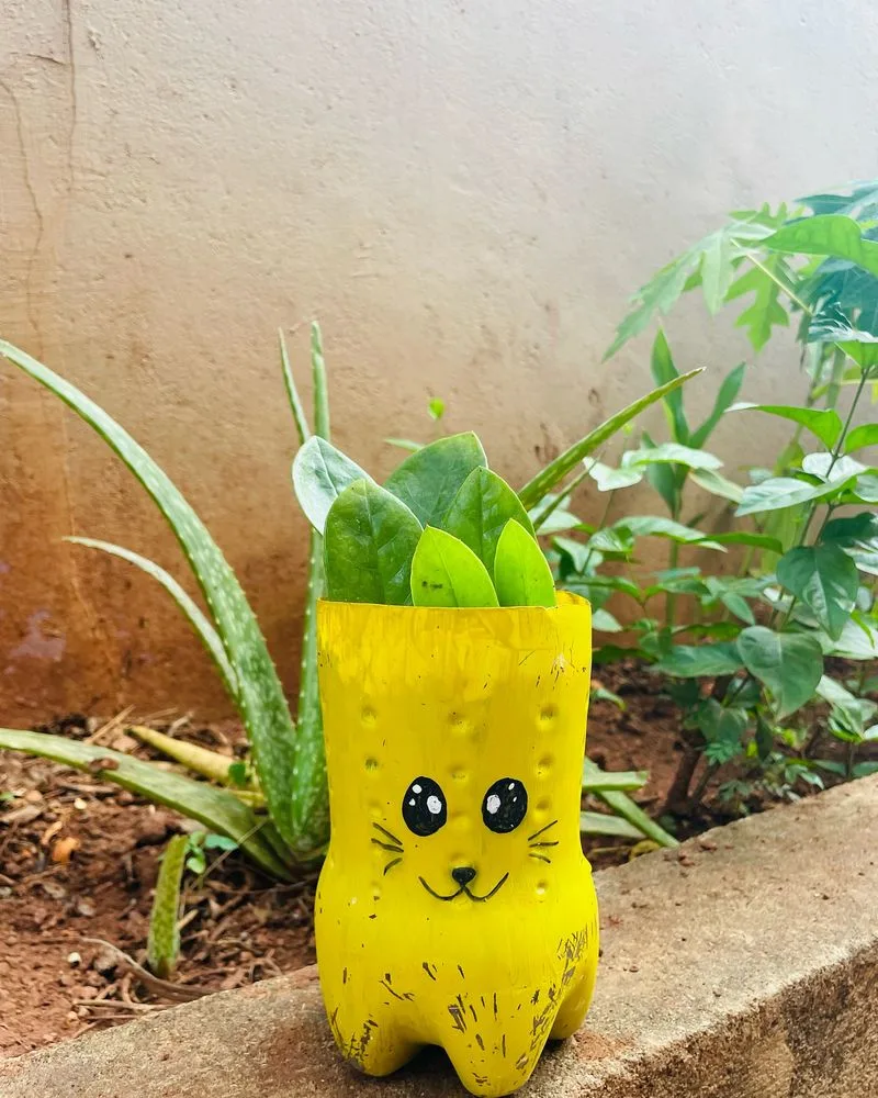 Recycled Bottle Planters