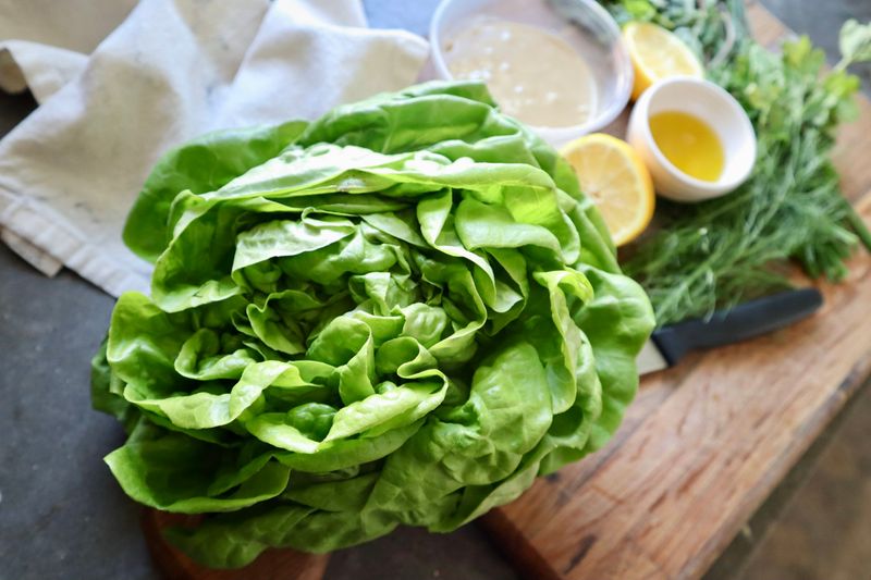 Bibb Lettuce