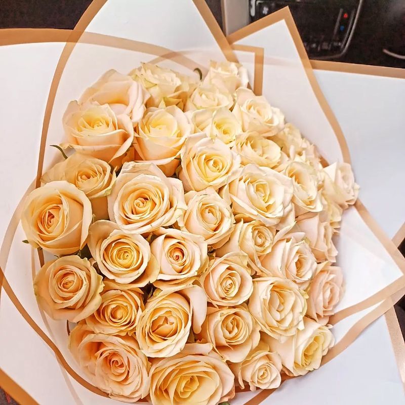 Regal Rose