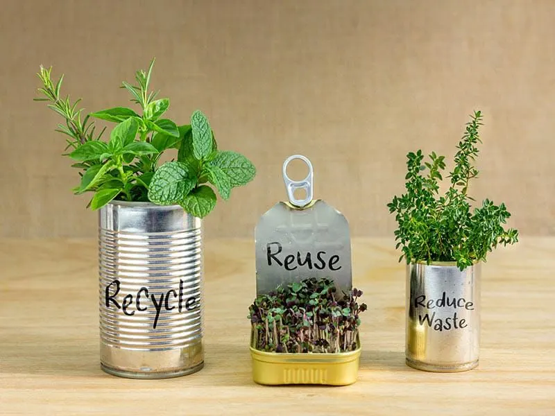 Repurpose Old Containers