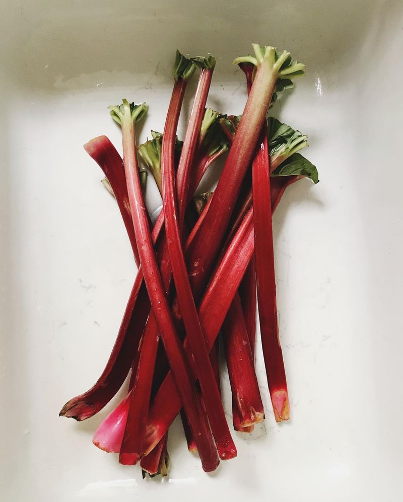 Rhubarb