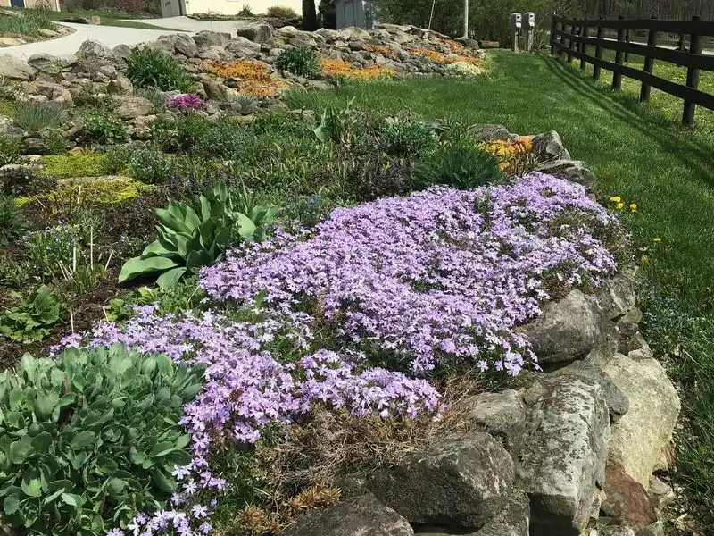 Rock Garden
