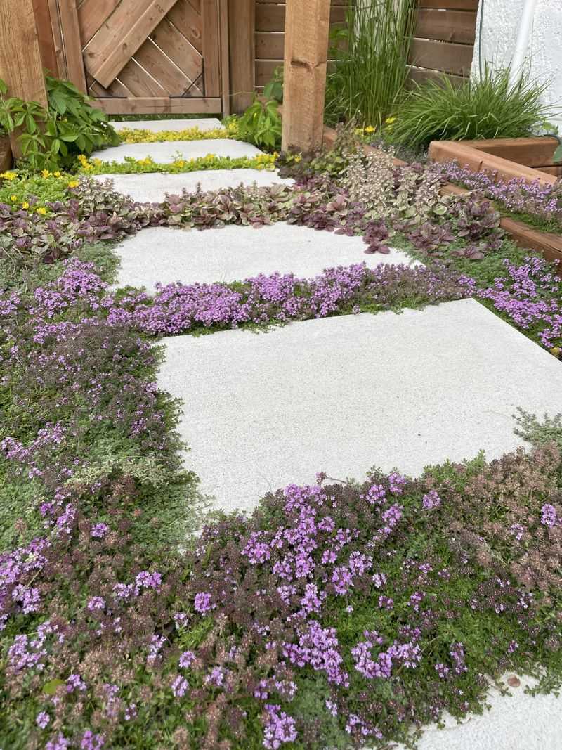 Flagstone Patios With Creeping Groundcovers
