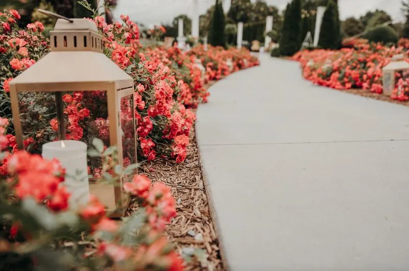 Rose Petal Pathways