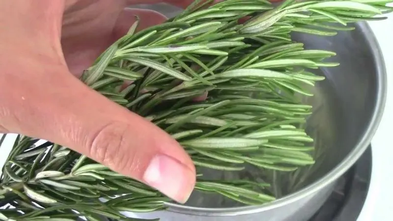 Rosemary