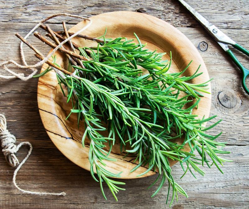 Rosemary