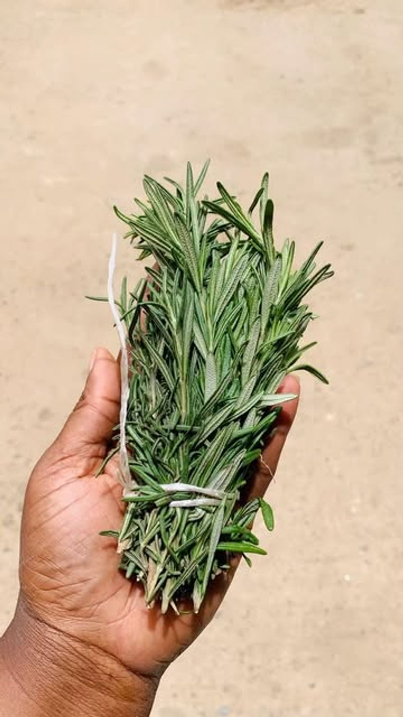 Rosemary