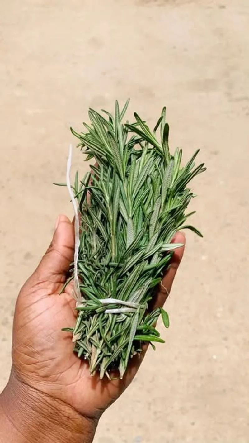 Rosemary