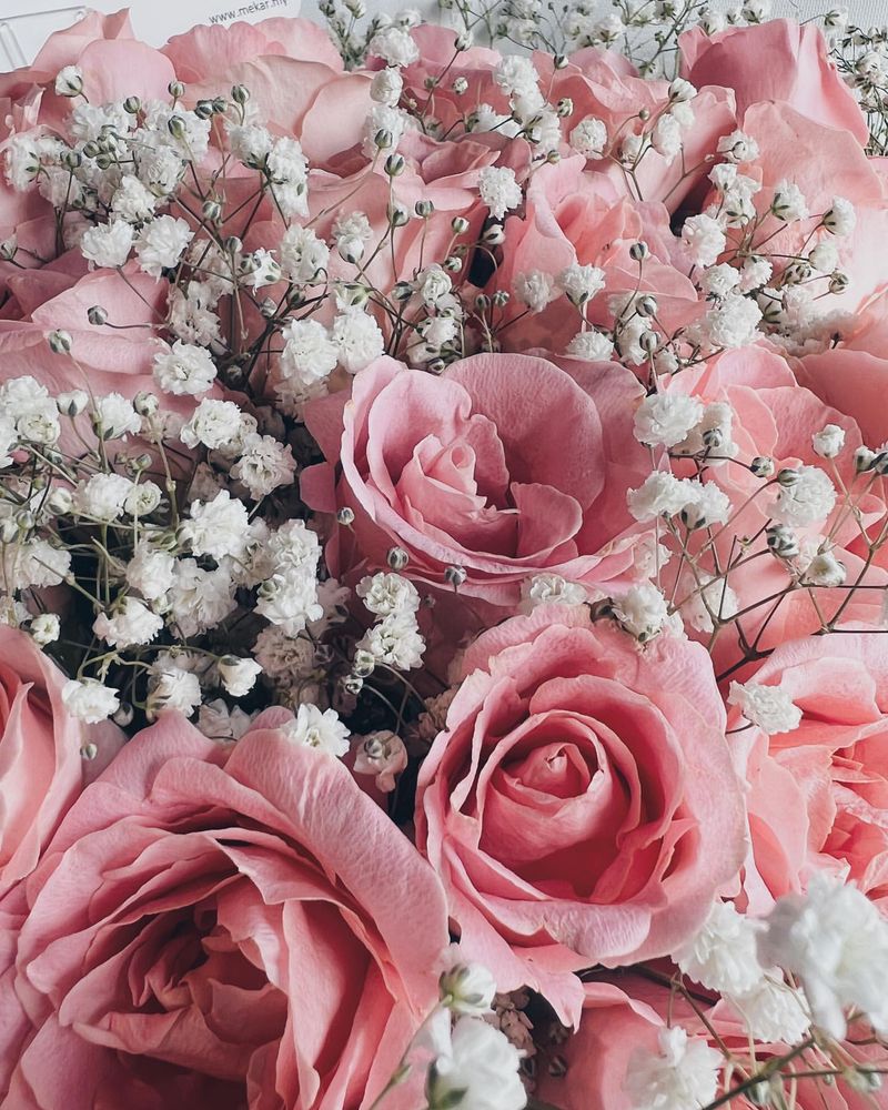 Roses