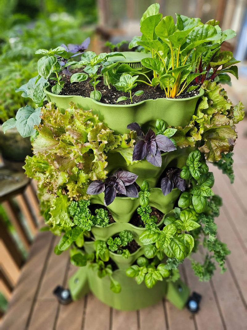 Rotating Plants