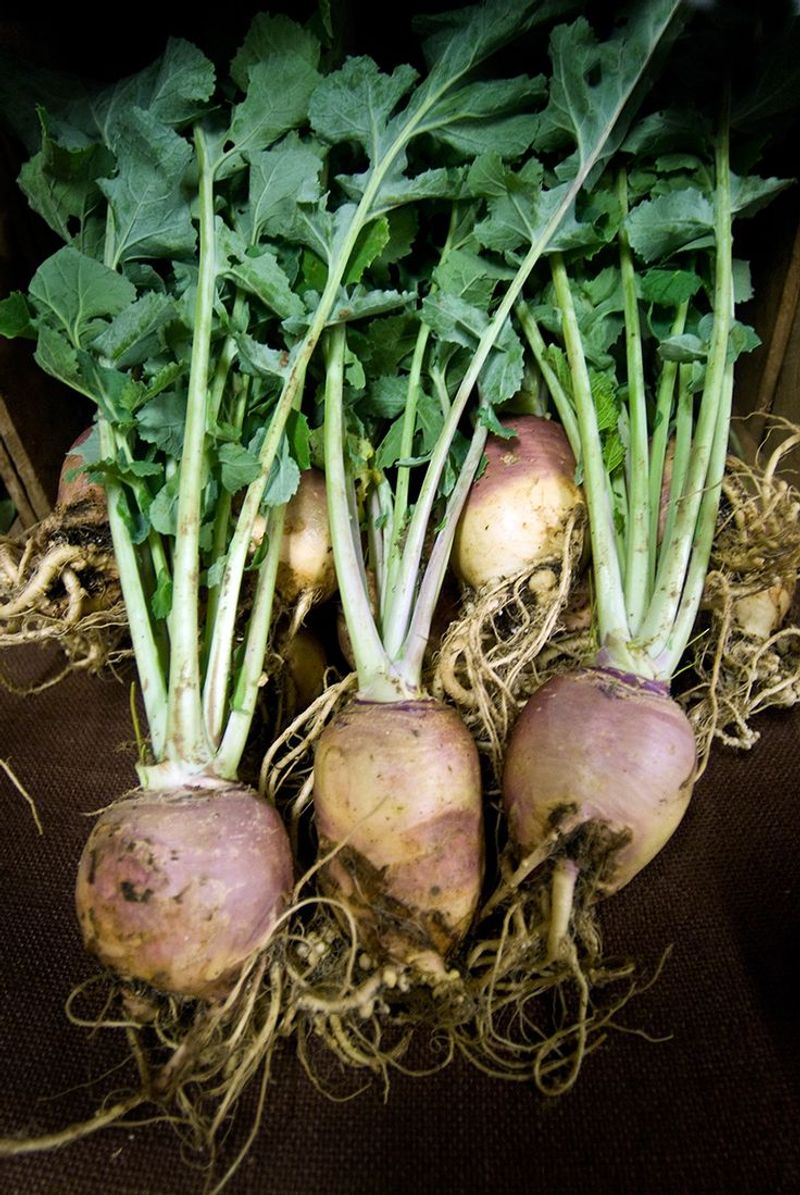 Rutabaga