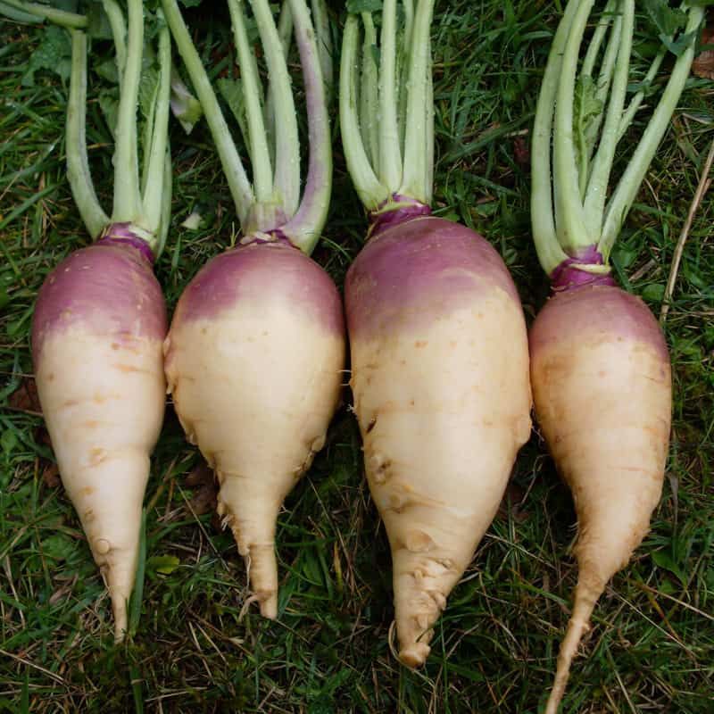 Rutabagas