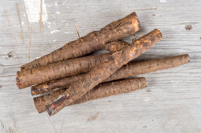 Salsify