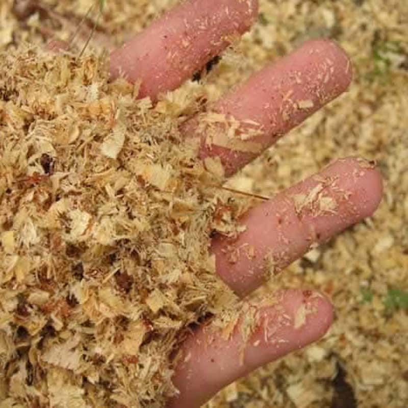 Sawdust