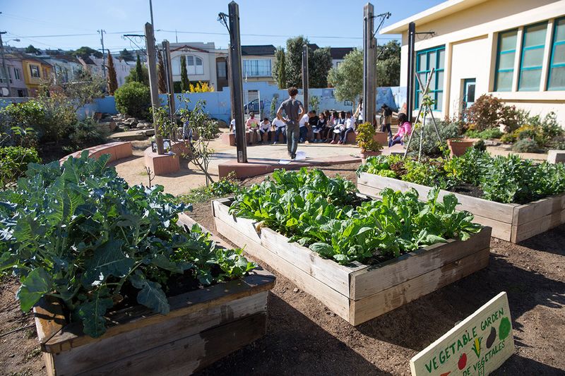 School Gardens for Education