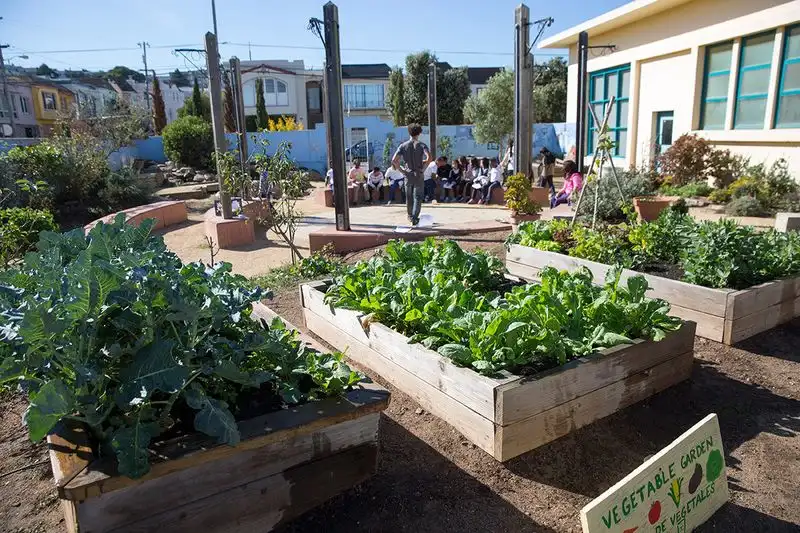 School Gardens for Education