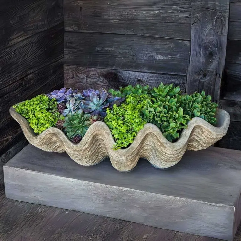 Seashell Planters