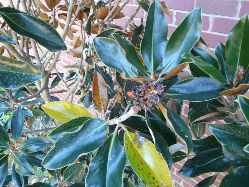 Seasonal Changes