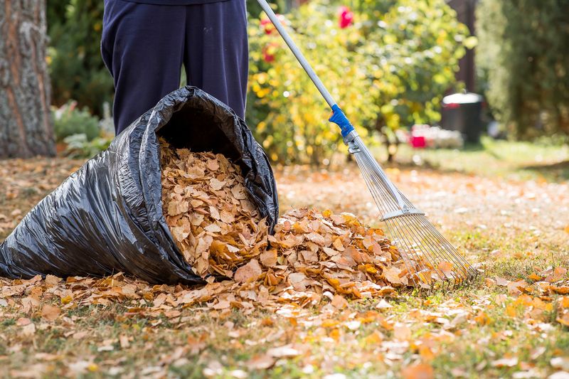 Seasonal Cleanup