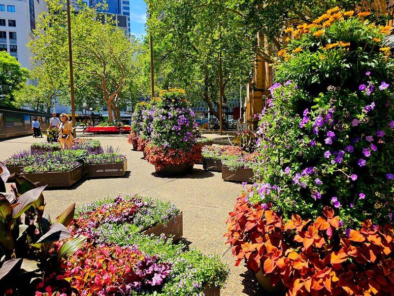 Seasonal Displays