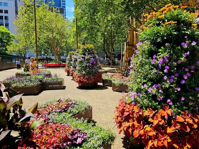Seasonal Displays