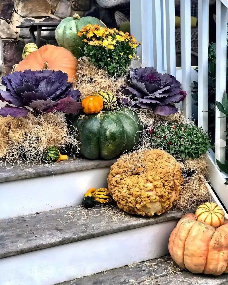 Seasonal Displays