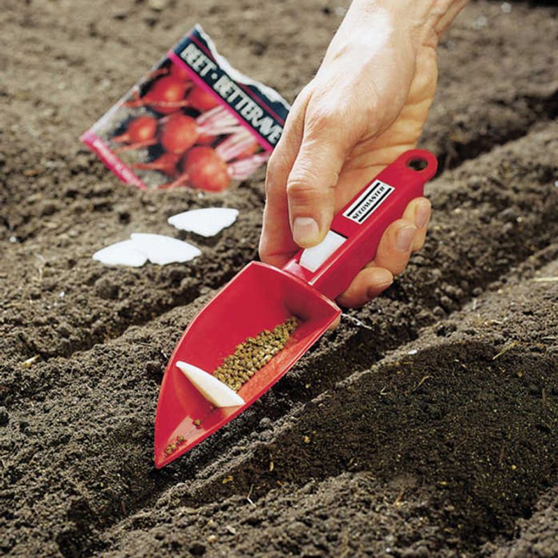 Seed Dispenser