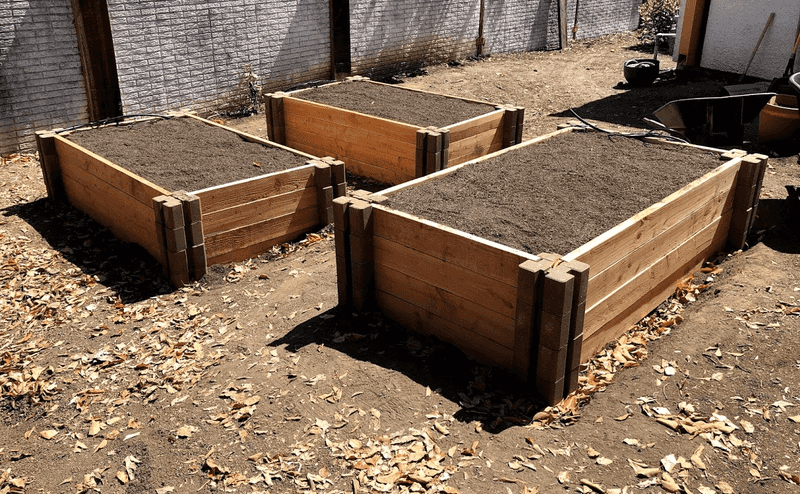Seed Libraries