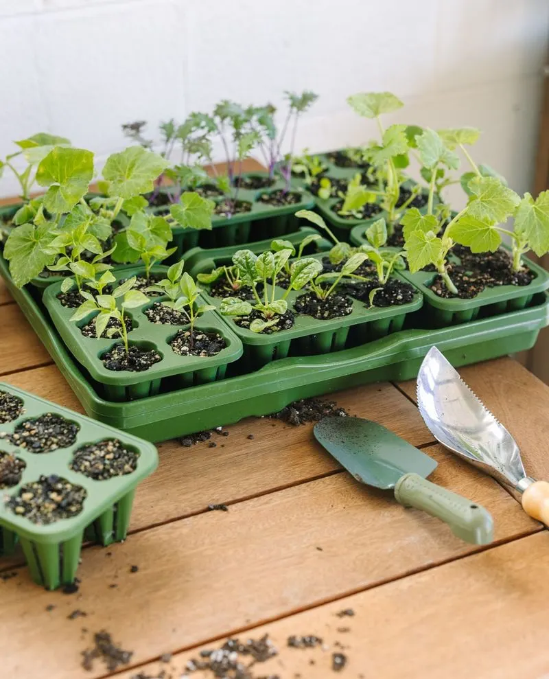 Seed Starter Kit