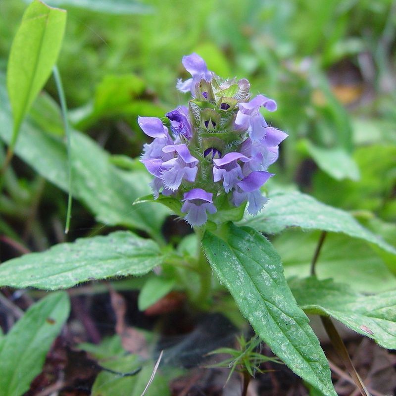 Self-Heal