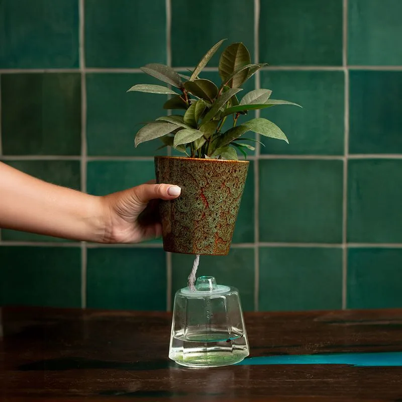 Self-Watering Pots