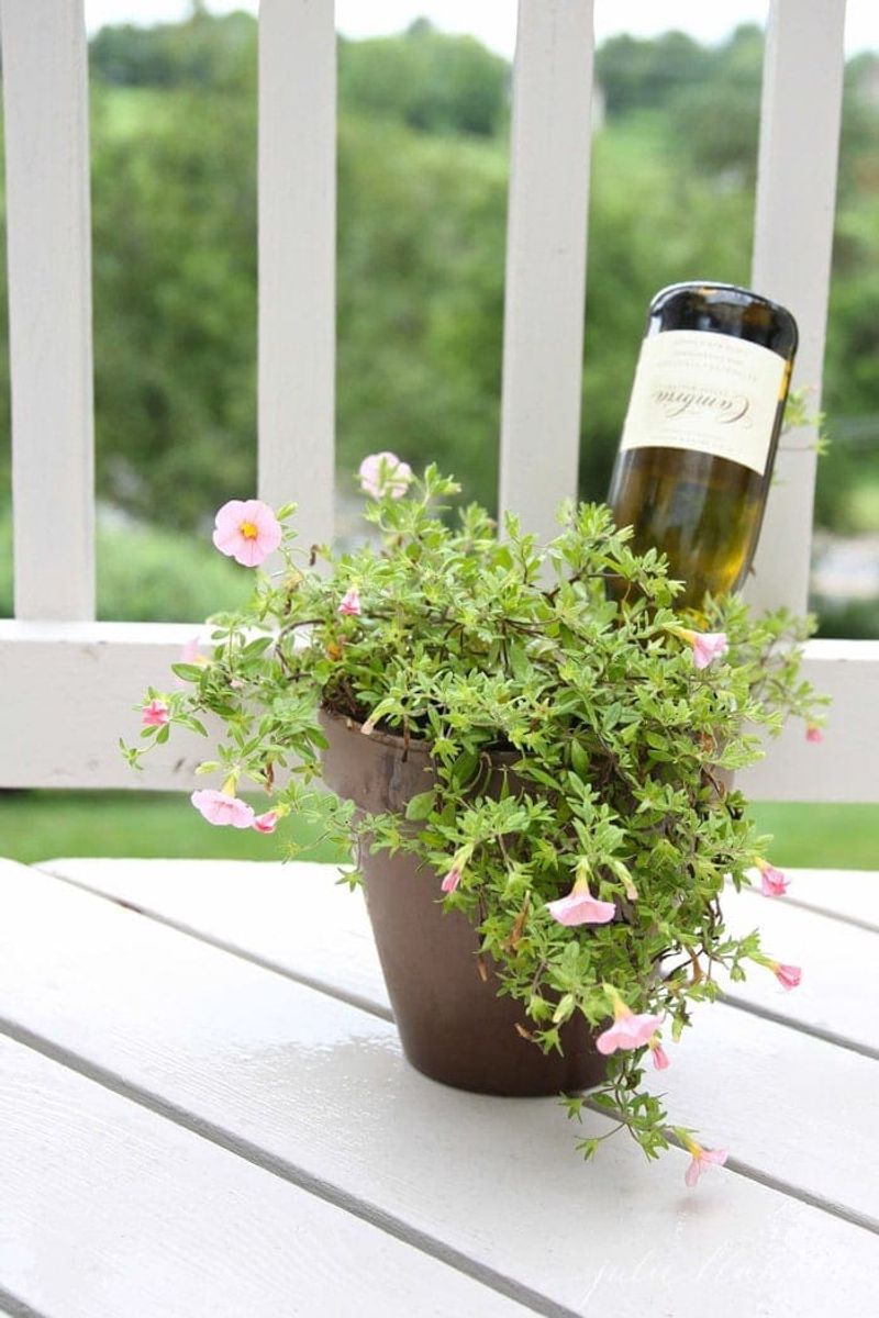 Self-Watering Wine Bottle Planters
