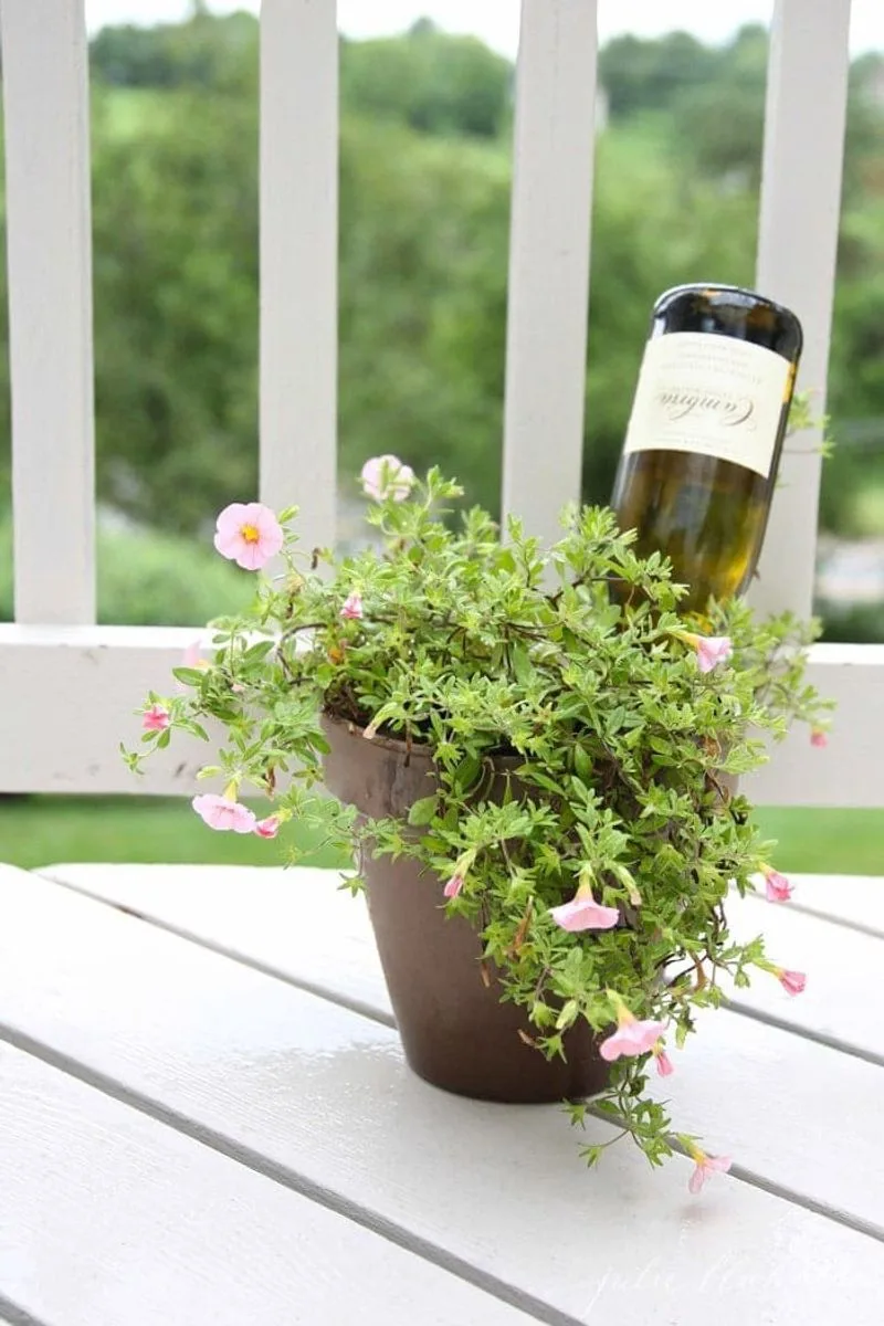 Self-Watering Wine Bottle Planters