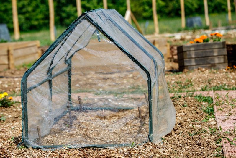 Set Up a Greenhouse Tent