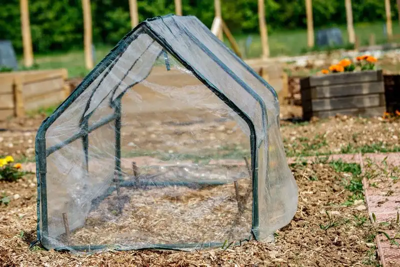 Set Up a Greenhouse Tent
