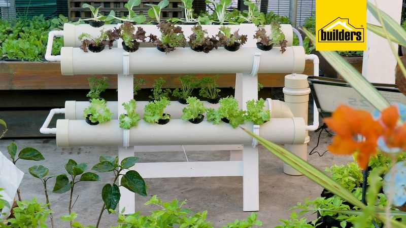 Set Up a Hydroponic System