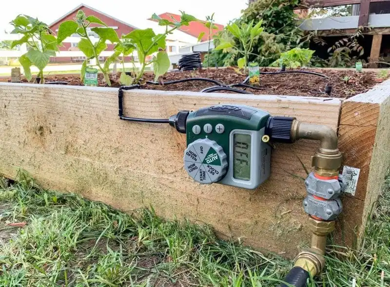 Set Up an Automatic Timer