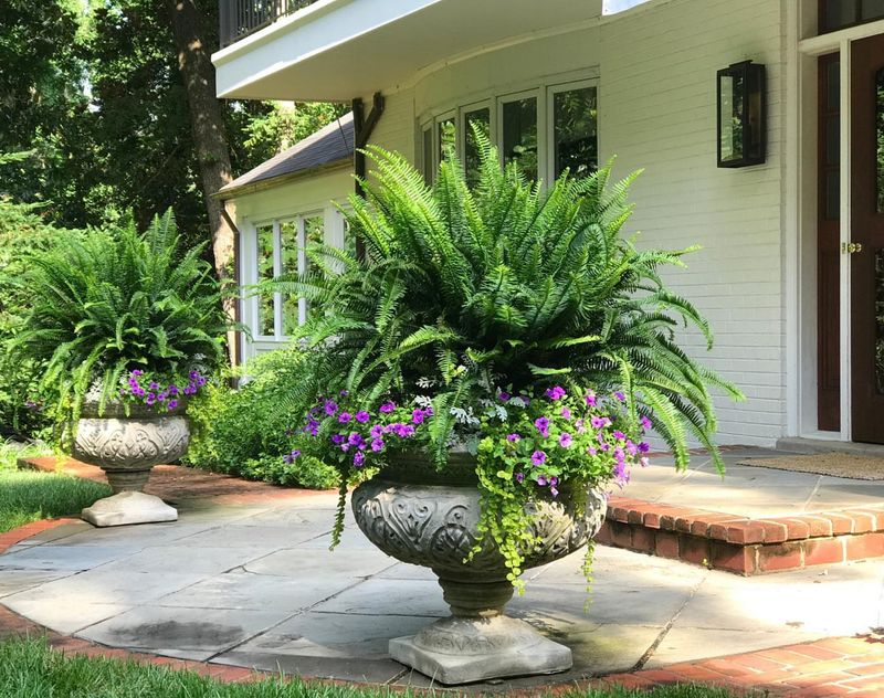 Container Gardens