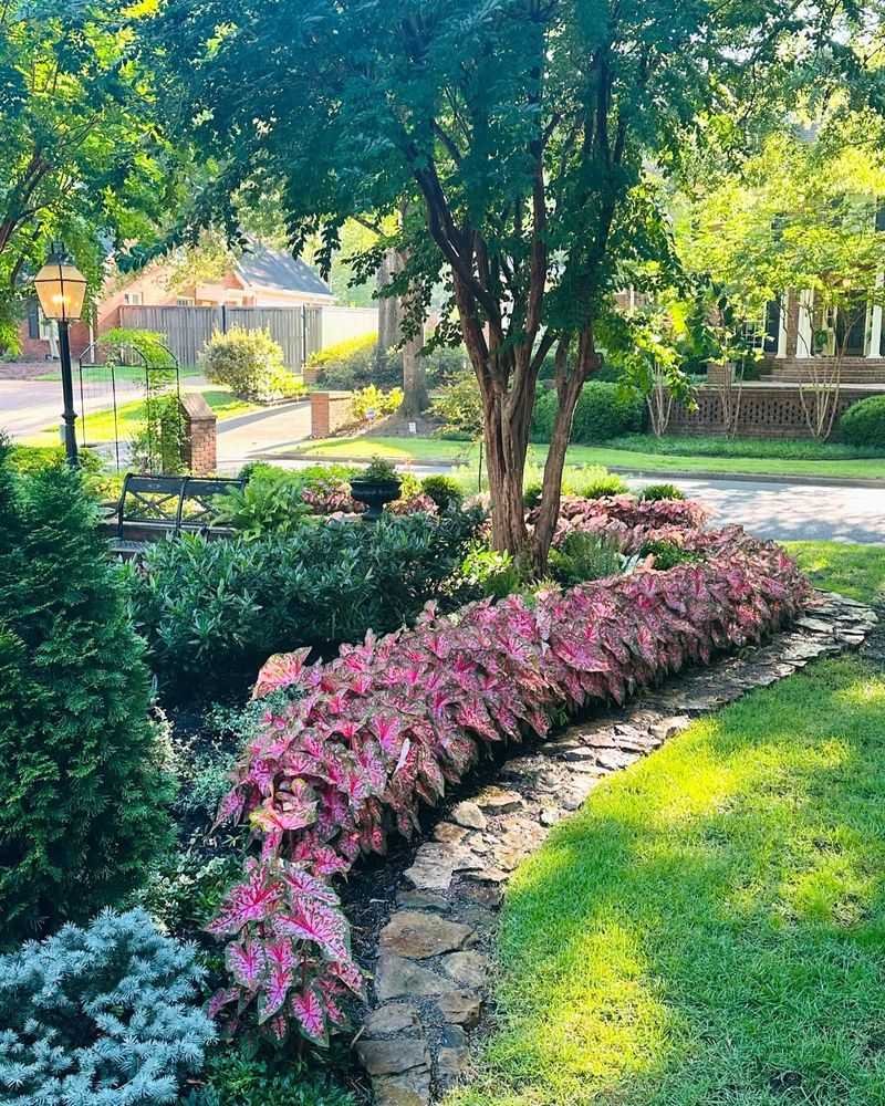 Shade Gardens