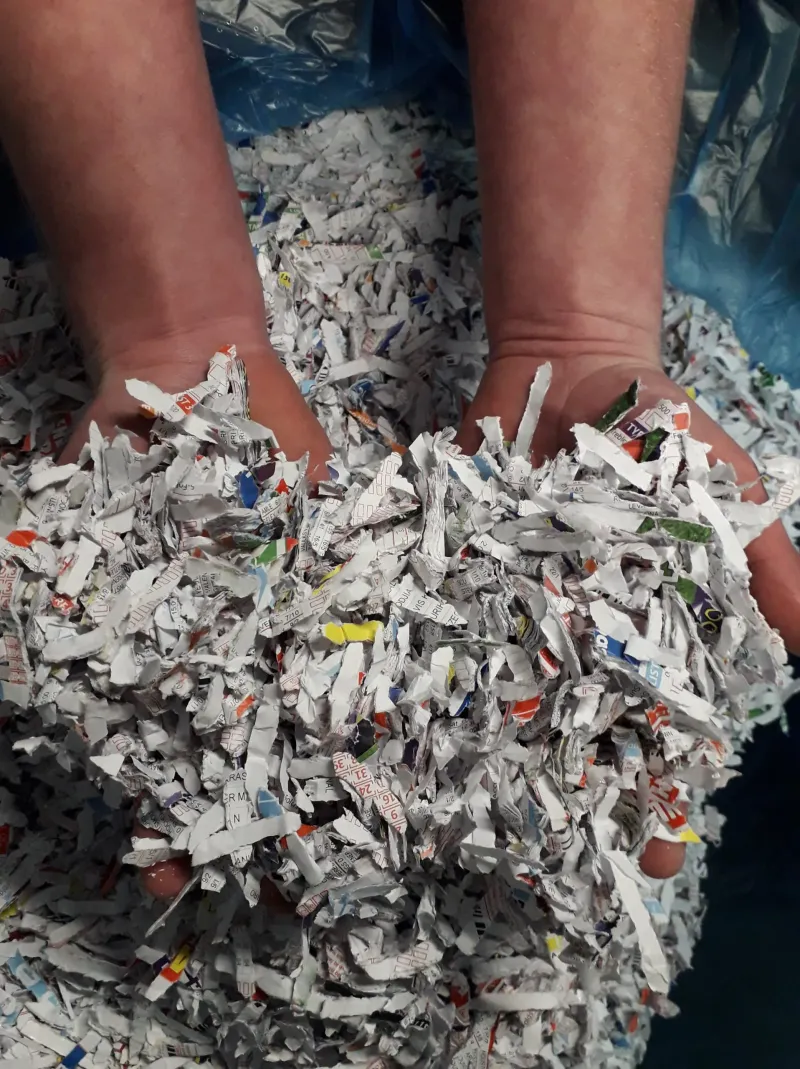 Shredded Newspaper