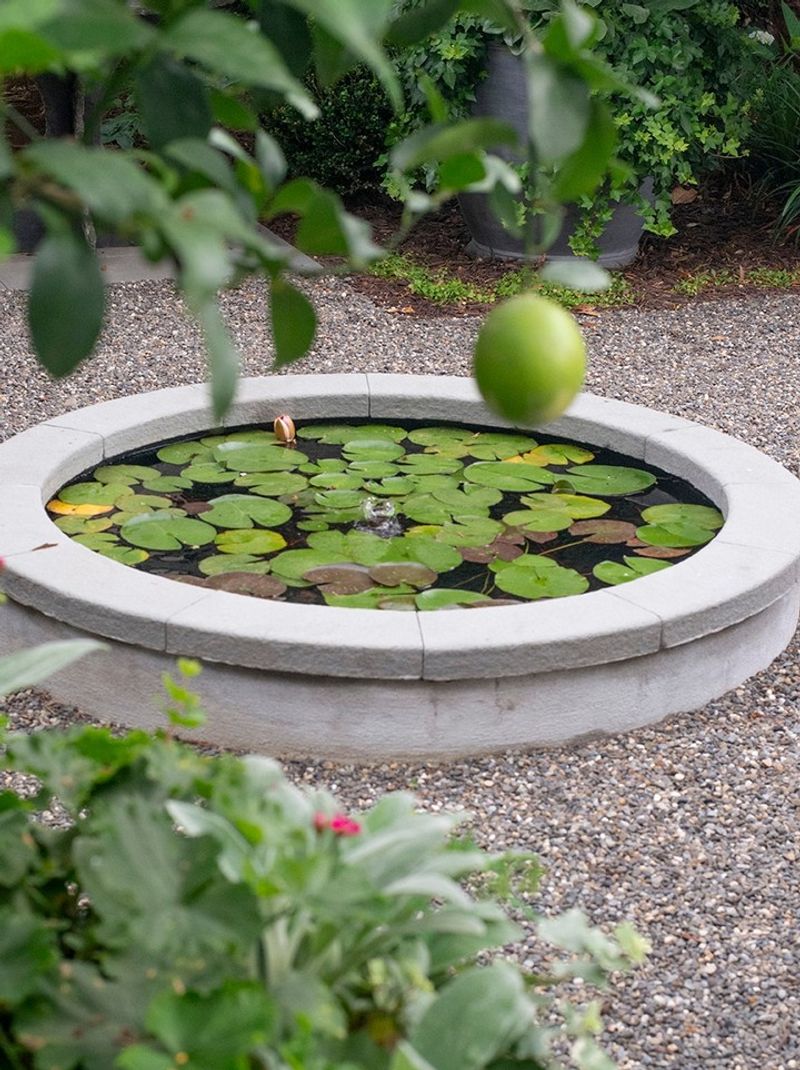 Simple Water Features