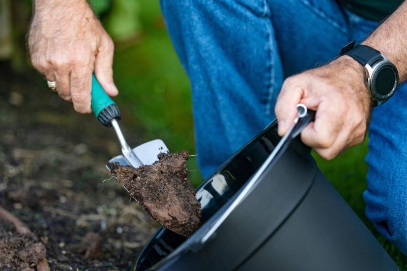 Skipping Soil Testing