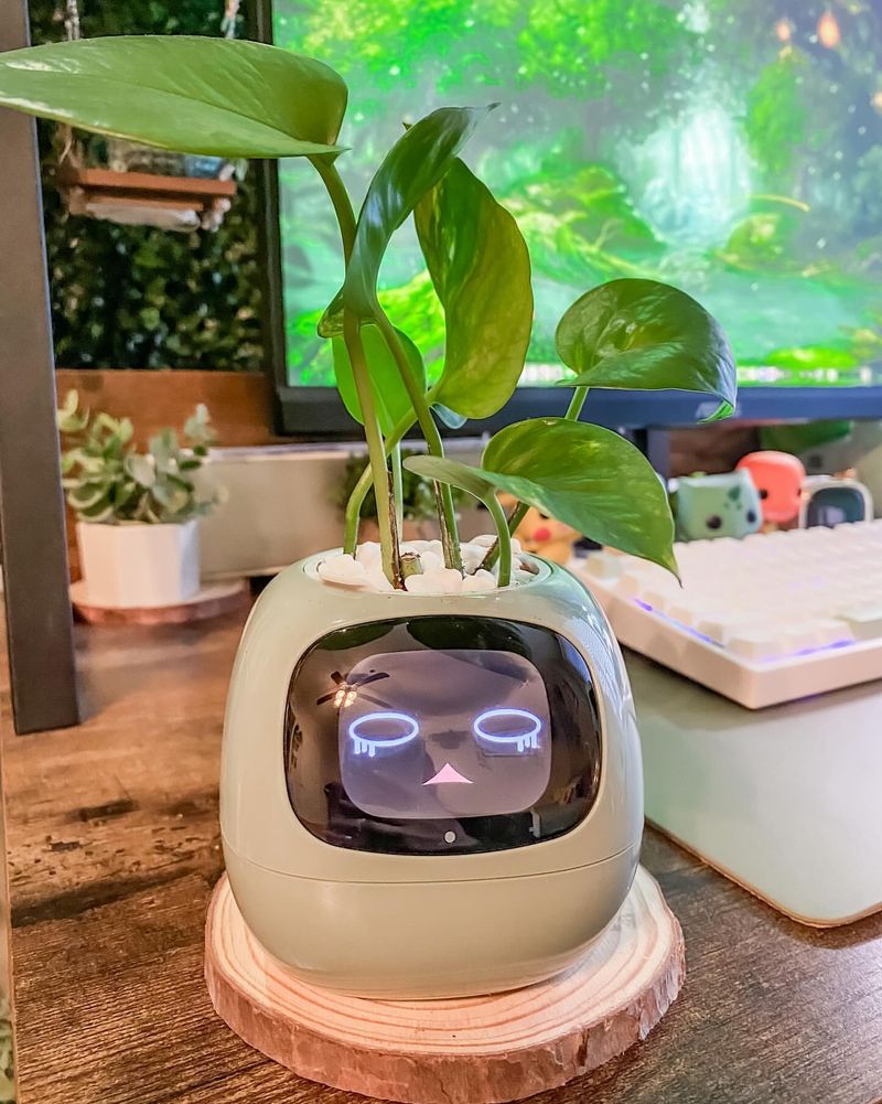 Smart Planters