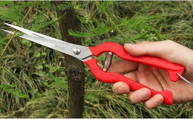 Needle‑Point Pruning Shears