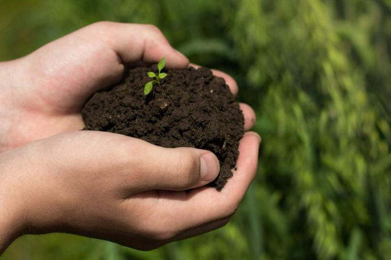 Soil Composition Understanding