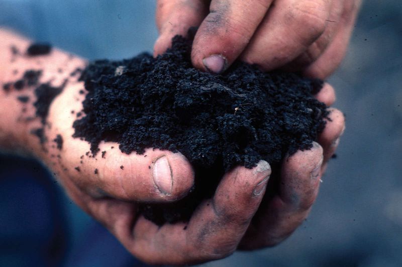 Soil Enrichment