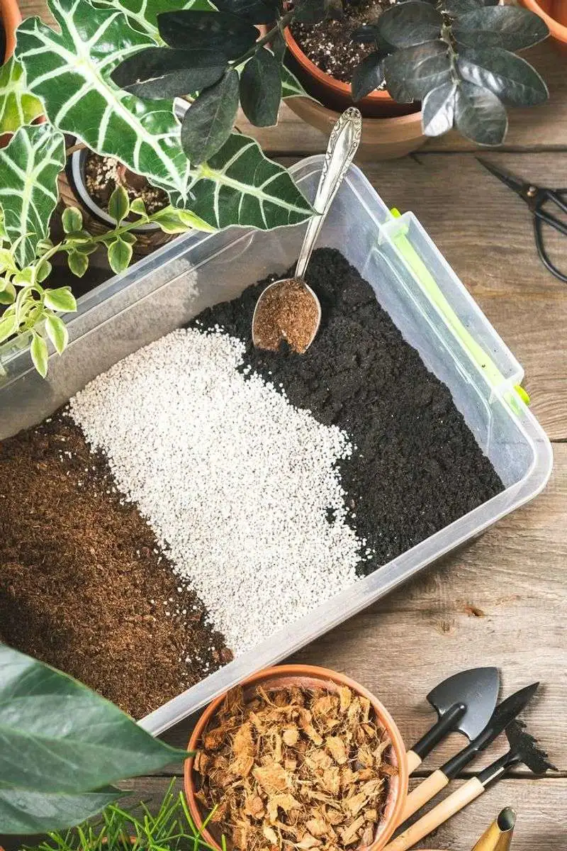 Soil Mix Mastery