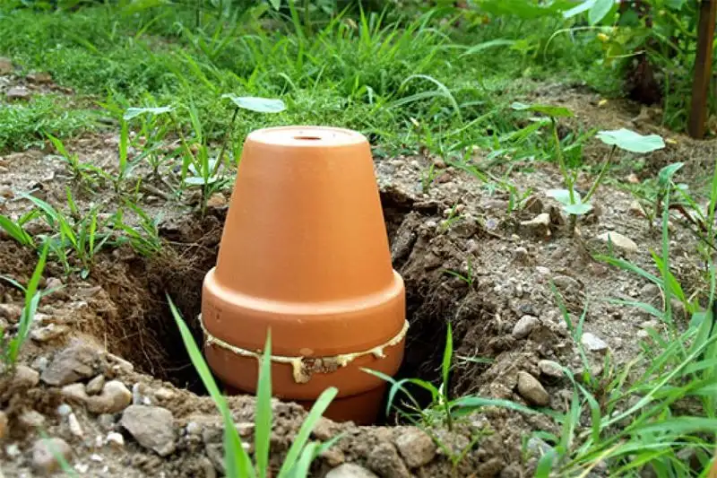 Soil Quality and Drainage